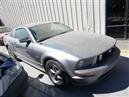 2006 FORD MUSTANG GT GRAY 4.6 AT F19083